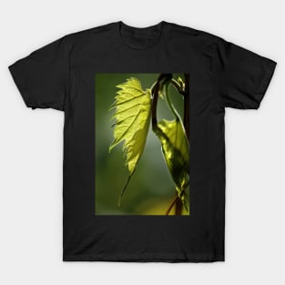 After the Rain T-Shirt